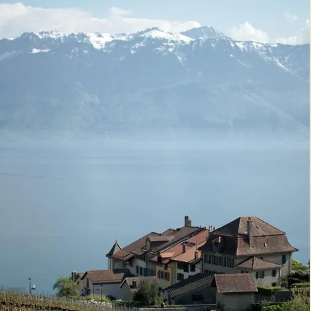 Superbe En Plein Centre A Gare 洛桑